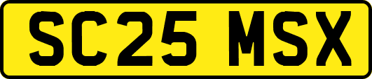 SC25MSX