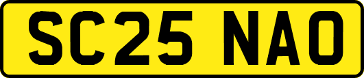 SC25NAO