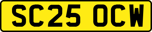 SC25OCW