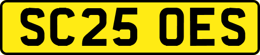 SC25OES