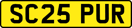 SC25PUR