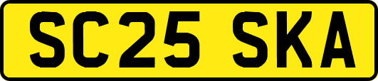 SC25SKA