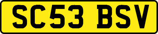 SC53BSV