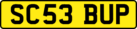 SC53BUP