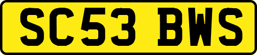 SC53BWS
