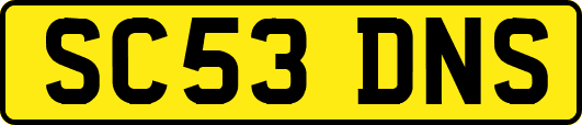SC53DNS