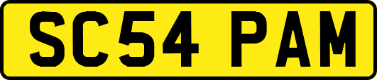 SC54PAM