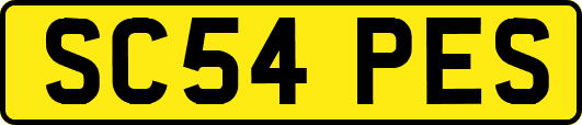 SC54PES
