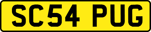 SC54PUG