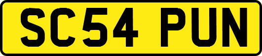 SC54PUN