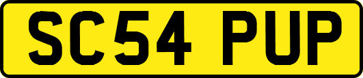 SC54PUP