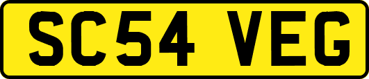 SC54VEG