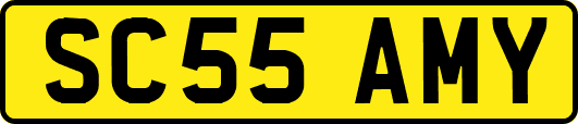 SC55AMY