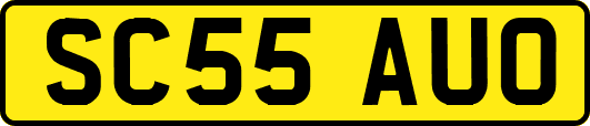 SC55AUO