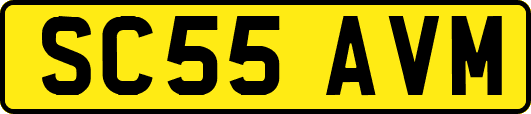 SC55AVM