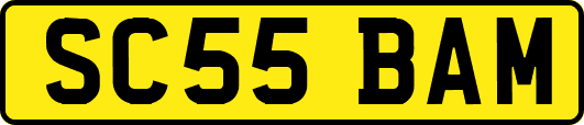 SC55BAM
