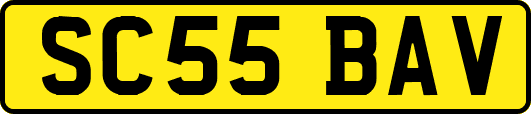 SC55BAV