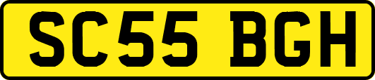 SC55BGH