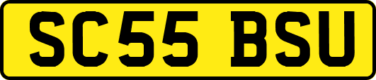 SC55BSU