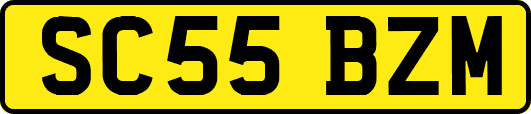 SC55BZM