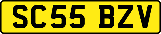SC55BZV