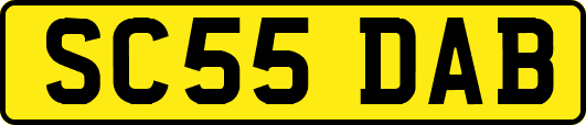 SC55DAB