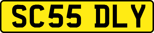 SC55DLY