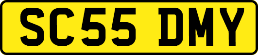 SC55DMY