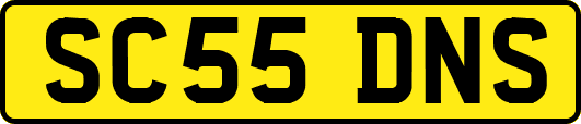 SC55DNS