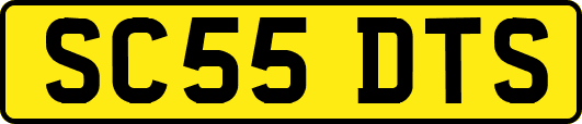 SC55DTS
