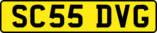 SC55DVG
