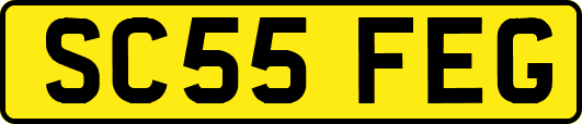 SC55FEG