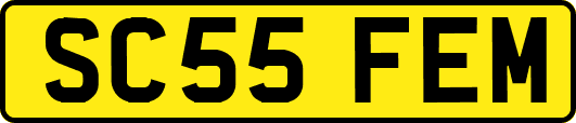 SC55FEM