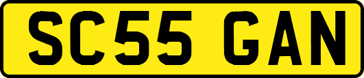 SC55GAN