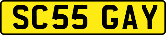 SC55GAY