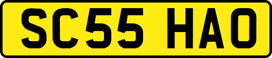SC55HAO