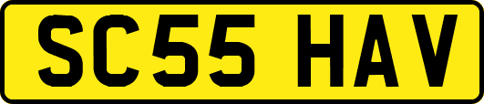 SC55HAV