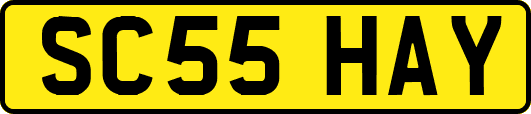 SC55HAY