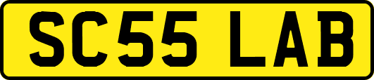 SC55LAB