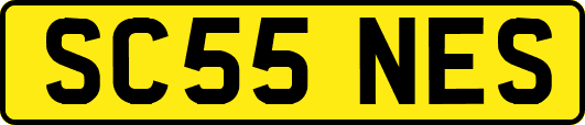 SC55NES