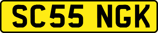 SC55NGK