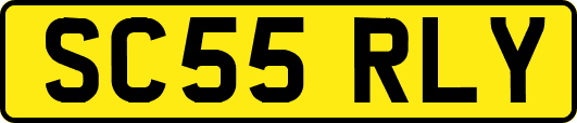 SC55RLY