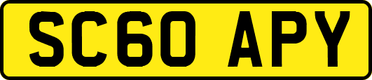 SC60APY