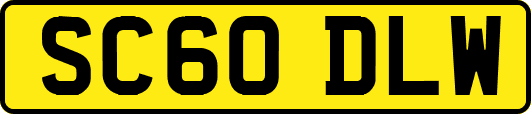 SC60DLW