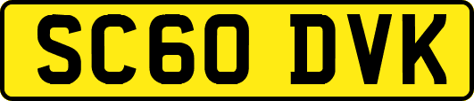 SC60DVK