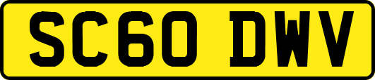 SC60DWV