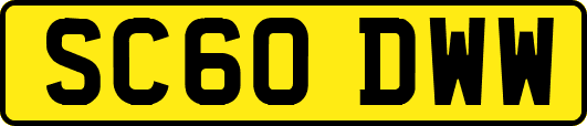 SC60DWW