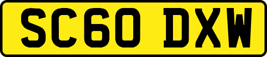 SC60DXW
