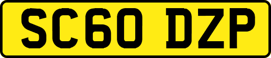 SC60DZP