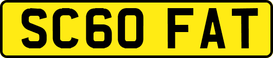 SC60FAT